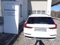 Volvo V60 T6 AWD Plug-in Plus Dark / Fahrerass.+Lichtpaket Weiß - thumbnail 5