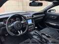 Ford Mustang 5.2 V8 SHELBY GT350 - NO SUPERBOLLO - GARANZIA Grau - thumbnail 5
