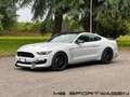 Ford Mustang 5.2 V8 SHELBY GT350 - NO SUPERBOLLO - GARANZIA Grau - thumbnail 1