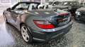 Mercedes-Benz SLK 250 CDI BlueEfficiency Gris - thumbnail 28