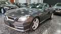 Mercedes-Benz SLK 250 CDI BlueEfficiency Gris - thumbnail 19