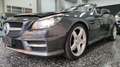 Mercedes-Benz SLK 250 CDI BlueEfficiency Gris - thumbnail 48