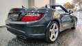 Mercedes-Benz SLK 250 CDI BlueEfficiency Gris - thumbnail 29