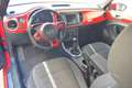 Volkswagen Beetle Cabrio 2.0TDI Beetlemanía 110 Rojo - thumbnail 11