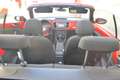 Volkswagen Beetle Cabrio 2.0TDI Beetlemanía 110 Rojo - thumbnail 12
