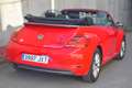 Volkswagen Beetle Cabrio 2.0TDI Beetlemanía 110 Rojo - thumbnail 8