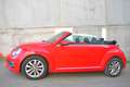 Volkswagen Beetle Cabrio 2.0TDI Beetlemanía 110 Rojo - thumbnail 7