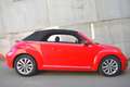 Volkswagen Beetle Cabrio 2.0TDI Beetlemanía 110 Rojo - thumbnail 4