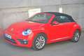 Volkswagen Beetle Cabrio 2.0TDI Beetlemanía 110 Rojo - thumbnail 5