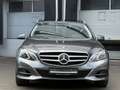 Mercedes-Benz E 400 Avantgarde LED Comand Standheizung 360° Gris - thumbnail 10