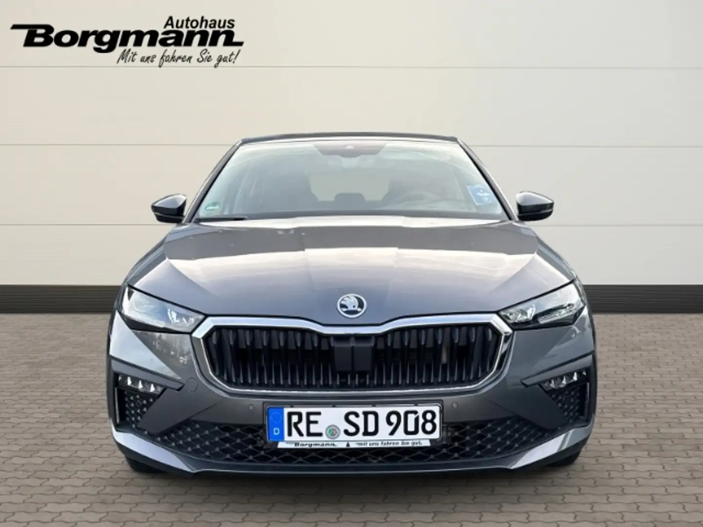 Skoda Scala Drive 1,0 TSI 85 kW 7-Gang-DSG Grau - 2