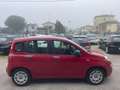 Fiat Panda Panda1.2 Easy 69cv E6 GPL X NEOPATENTATI Rot - thumbnail 4