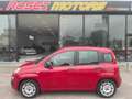 Fiat Panda Panda1.2 Easy 69cv E6 GPL X NEOPATENTATI Rot - thumbnail 7