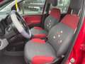 Fiat Panda Panda1.2 Easy 69cv E6 GPL X NEOPATENTATI Rot - thumbnail 8