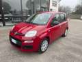 Fiat Panda Panda1.2 Easy 69cv E6 GPL X NEOPATENTATI Rot - thumbnail 1