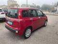 Fiat Panda Panda1.2 Easy 69cv E6 GPL X NEOPATENTATI Rot - thumbnail 5