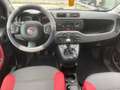 Fiat Panda Panda1.2 Easy 69cv E6 GPL X NEOPATENTATI Rot - thumbnail 10