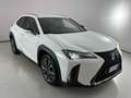 Lexus UX 250h 250 2.0 Hybrid F-Sport Weiß - thumbnail 3