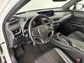 Lexus UX 250h 250 2.0 Hybrid F-Sport Weiß - thumbnail 9