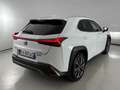 Lexus UX 250h 250 2.0 Hybrid F-Sport Weiß - thumbnail 6
