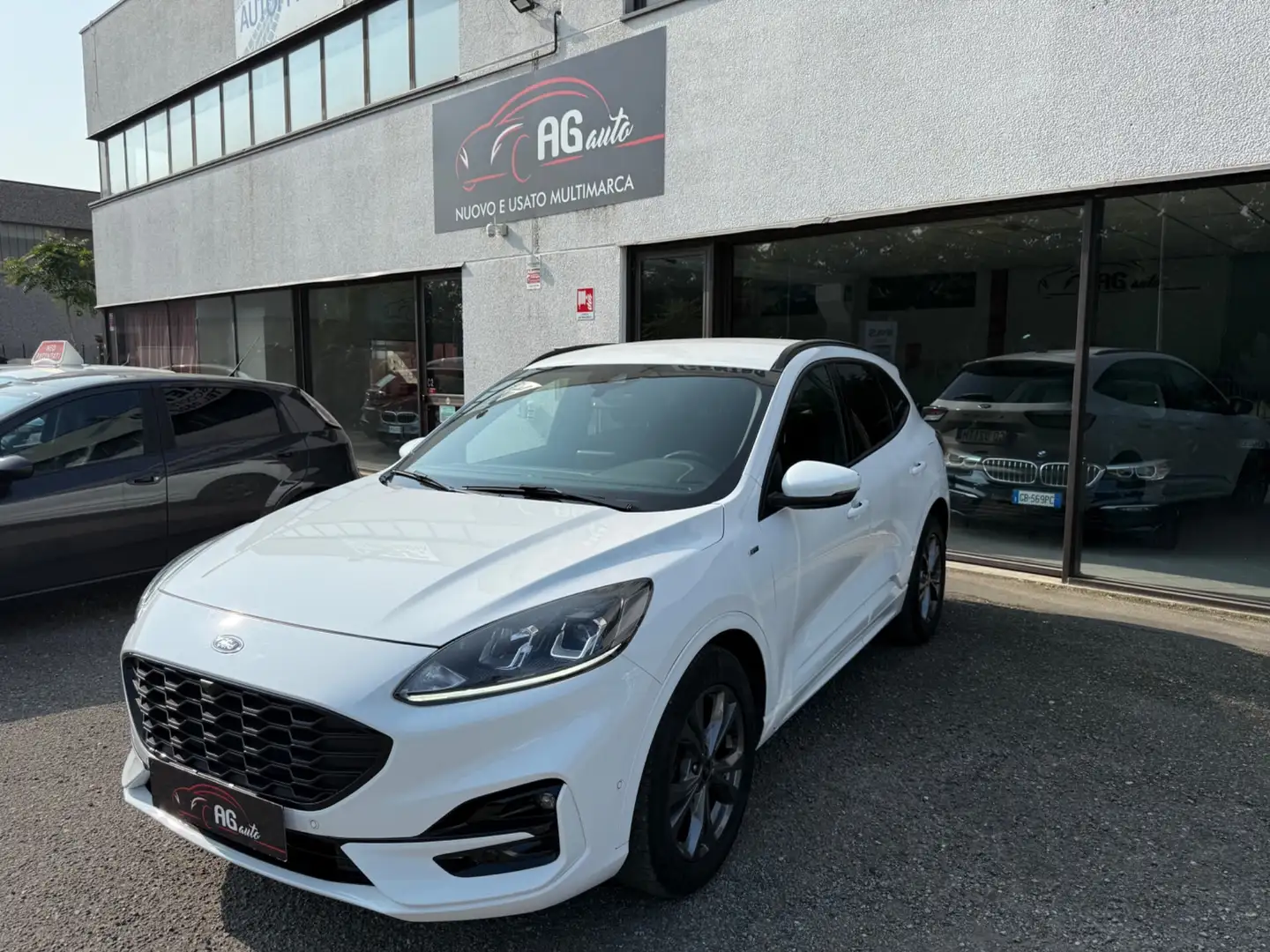 Ford Kuga 2.0 EcoBlue Hybrid 150 CV 2WD ST-Line Bianco - 1