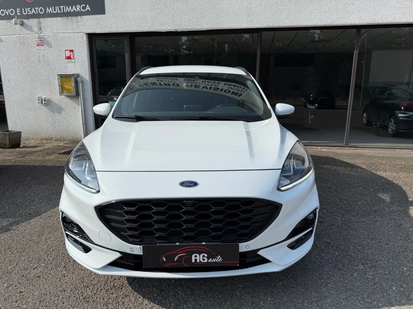 Ford Kuga 2.0 EcoBlue Hybrid 150 CV 2WD ST-Line Bianco - 2