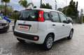 Fiat Panda 1.3 Mjt 16v 95Cv Easy - Unico P. Bianco - thumbnail 5