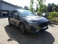 Ford Kuga ST-Line X *AHK schwenkbar *B&O Play Gris - thumbnail 1