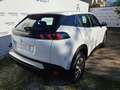 Peugeot 2008 PureTech 100 S&S - MINI RATA 4 ANNI Bianco - thumbnail 12