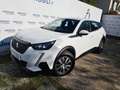 Peugeot 2008 PureTech 100 S&S - MINI RATA 4 ANNI Bianco - thumbnail 5