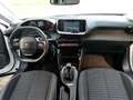 Peugeot 2008 PureTech 100 S&S - MINI RATA 4 ANNI Bianco - thumbnail 14