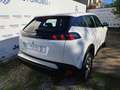 Peugeot 2008 PureTech 100 S&S - MINI RATA 4 ANNI Bianco - thumbnail 13