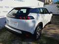 Peugeot 2008 PureTech 100 S&S - MINI RATA 4 ANNI Bianco - thumbnail 11