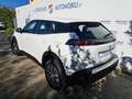 Peugeot 2008 PureTech 100 S&S - MINI RATA 4 ANNI Bianco - thumbnail 10