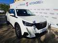 Peugeot 2008 PureTech 100 S&S - MINI RATA 4 ANNI Bianco - thumbnail 8