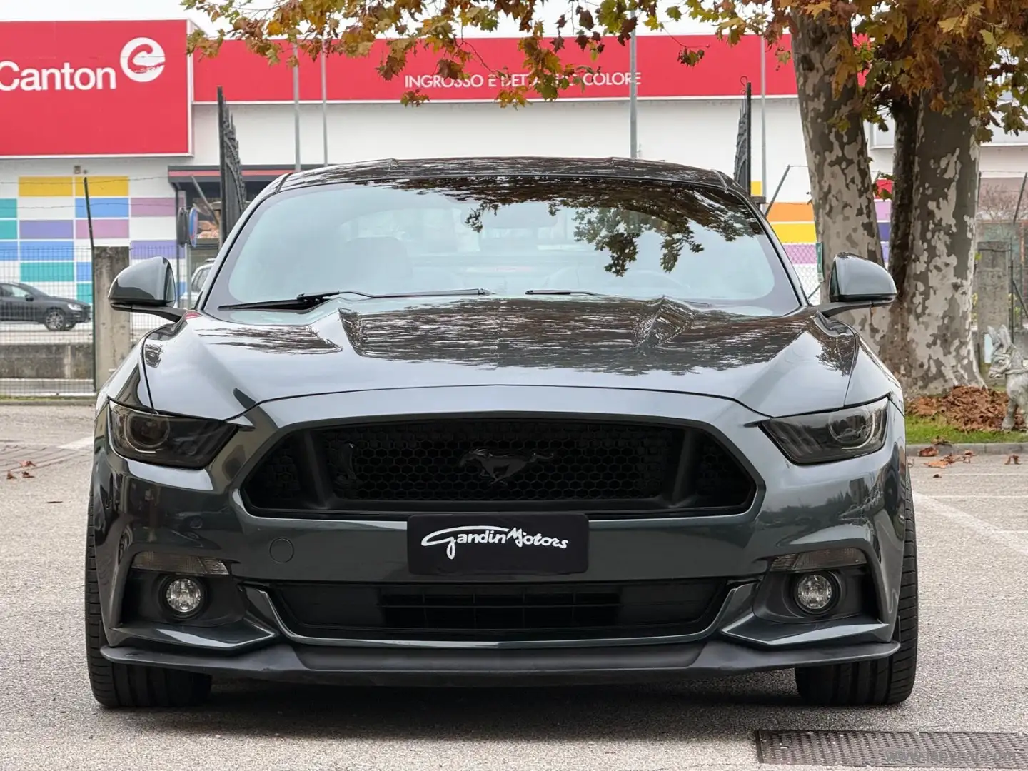Ford Mustang Fastback 5.0 V8 TiVCT GT MANUALE–SUPERBOLLO RIDOTT Vert - 2