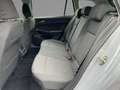 Volkswagen Golf Variant Golf VIII Variant Life 1.5 eTSI LED AREAVIEW APP Grau - thumbnail 8