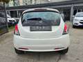 Lancia Ypsilon 1.3 MJT 16V 95 CV 5 porte S&S Bianco - thumbnail 4