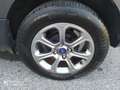 Ford EcoSport EcoSport 1.0 ecoboost Black Edition 100cv my19 Gris - thumbnail 14