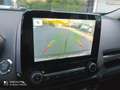 Ford EcoSport EcoSport 1.0 ecoboost Black Edition 100cv my19 Gris - thumbnail 11