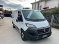 Fiat Ducato  IVA INCLUSA PRONTO CONSEGNA Blanc - thumbnail 1