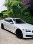 BMW 518 518d Aut. Luxury Line - thumbnail 14