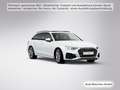 Audi A4 40 TFSI qu. S tronic 2x S line B&O/Pano Weiß - thumbnail 8