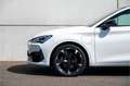 CUPRA Leon 1.4 e-Hybrid VZ Business Ambiente verlichting / Ke Wit - thumbnail 22