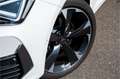 CUPRA Leon 1.4 e-Hybrid VZ Business Ambiente verlichting / Ke Wit - thumbnail 9