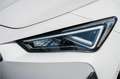 CUPRA Leon 1.4 e-Hybrid VZ Business Ambiente verlichting / Ke Wit - thumbnail 8