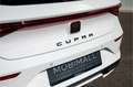 CUPRA Leon 1.4 e-Hybrid VZ Business Ambiente verlichting / Ke Wit - thumbnail 31