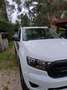 Ford Ranger Ranger 2.0 ecoblue super cab XL 170cv Bianco - thumbnail 3