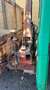 Iveco Daily - thumbnail 3