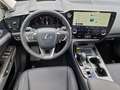 Lexus NX 350h Executive Line FLA HUD ParkAss. SpurH Grau - thumbnail 8